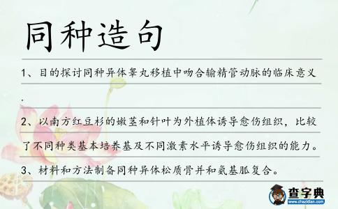 同種造句