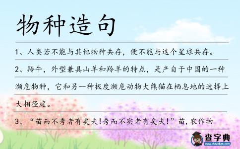 物種造句