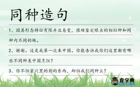 同種造句