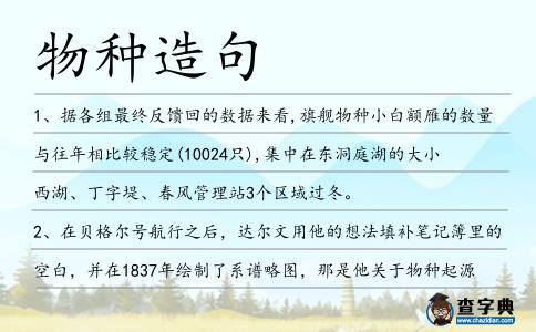 物種造句
