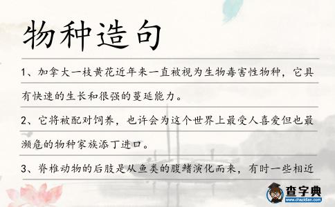 物種造句