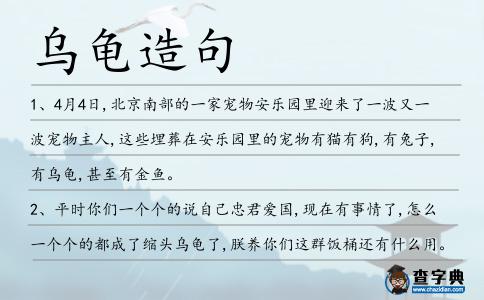 烏龜造句