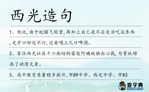 西光造句