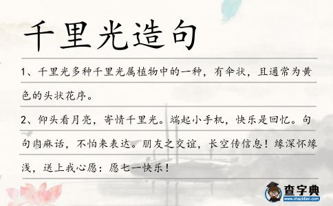 千里光造句