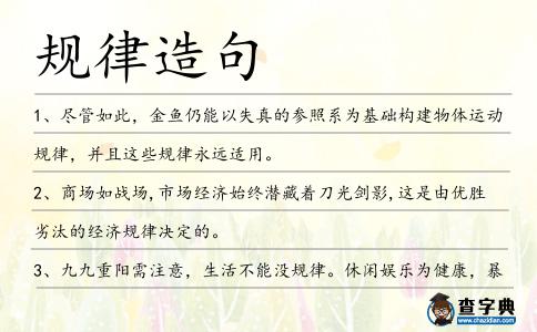 規律造句