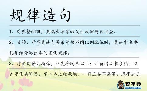 規(guī)律造句