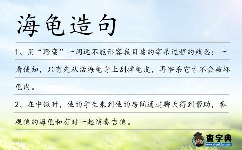 海龜造句