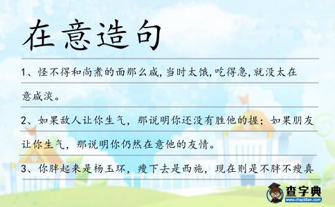 在意造句