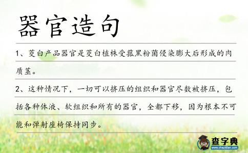 器官造句