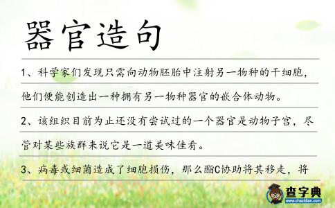 器官造句