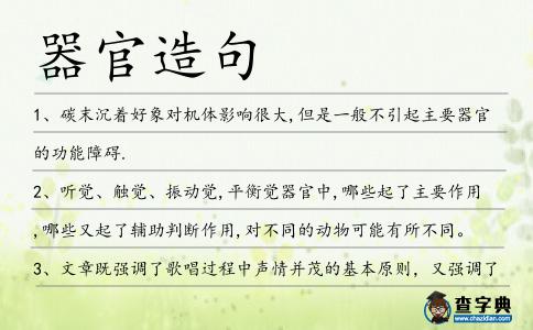 器官造句