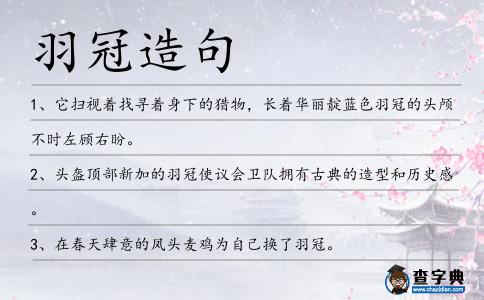 羽冠造句