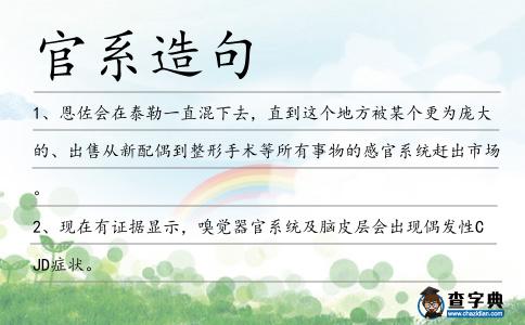 官系造句