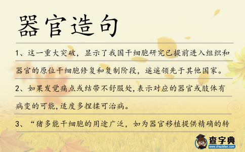 器官造句