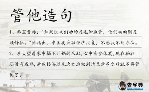 管他造句
