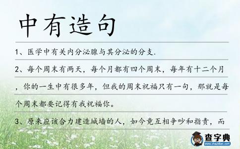 中有造句