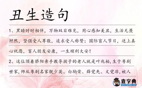 丑生造句
