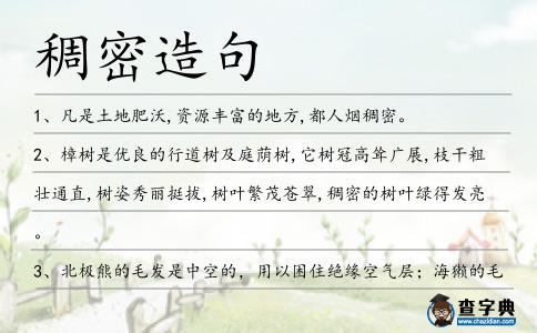 稠密造句