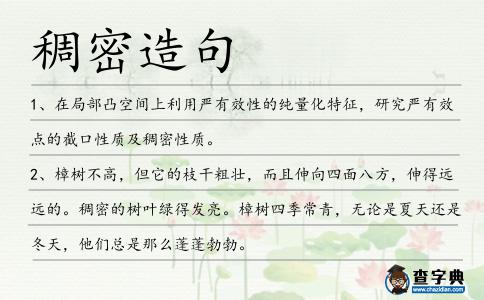 稠密造句