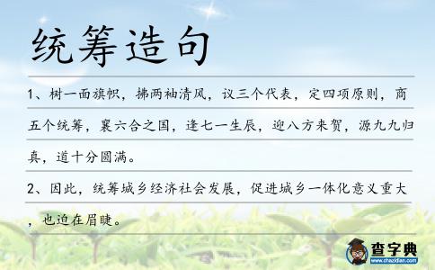 統(tǒng)籌造句