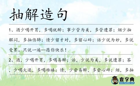 抽解造句