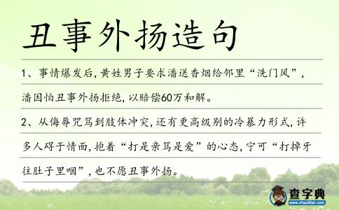 丑事外揚造句