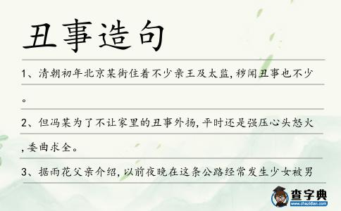 丑事造句