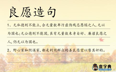 良愿造句