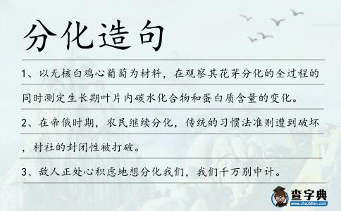 分化造句
