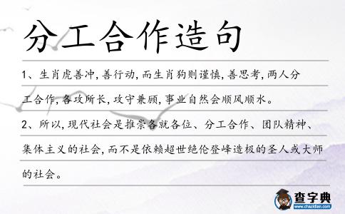 分工合作造句