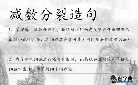 減數分裂造句
