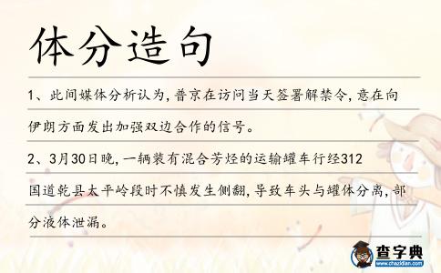 體分造句