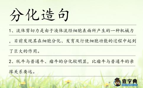 分化造句