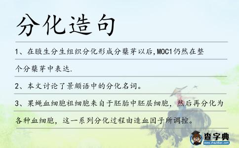 分化造句