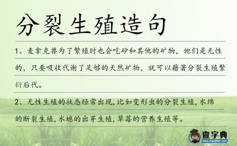 分裂生殖造句