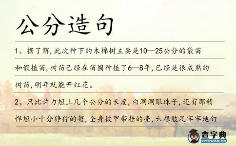 公分造句