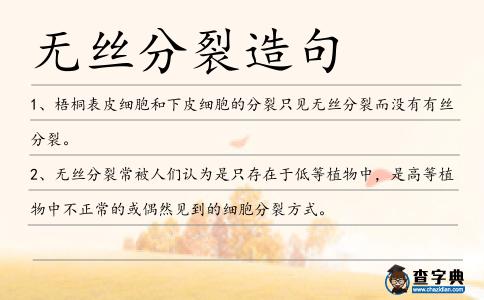 無絲分裂造句