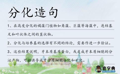 分化造句