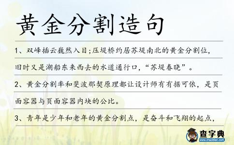 黃金分割造句