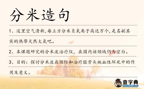 分米造句