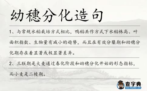幼穗分化造句