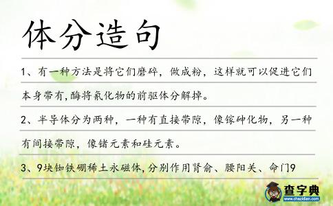 體分造句
