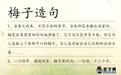 梅子造句