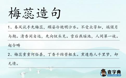 梅蕊造句