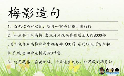 梅影造句