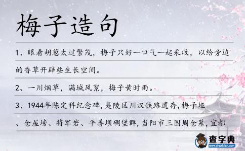 梅子造句