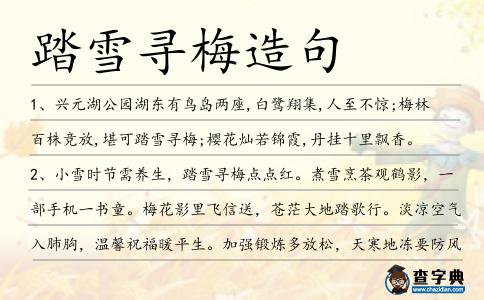 踏雪尋梅造句