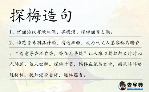探梅造句