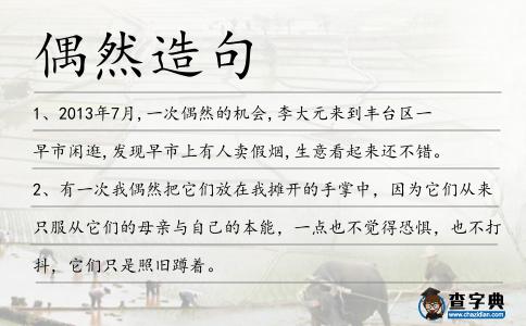 偶然造句