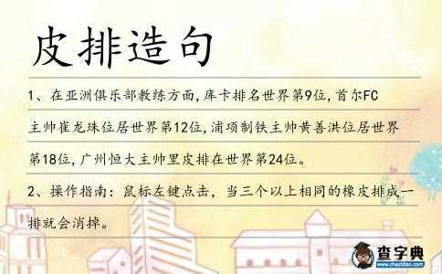 皮排造句